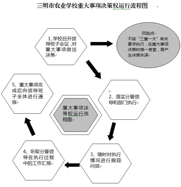 云开体育(中国)股份有限公司重大事项决策权运行流程图.JPG